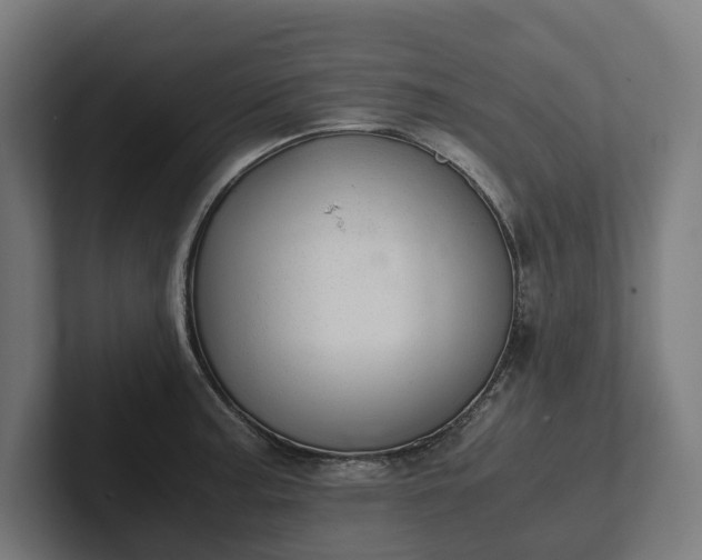 X0000102301187200808011356