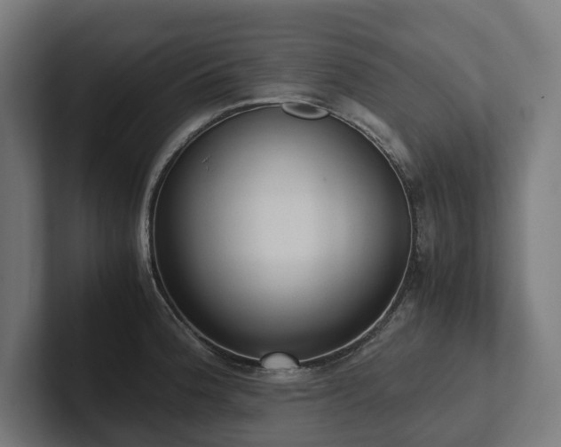 X0000102301188200808011356