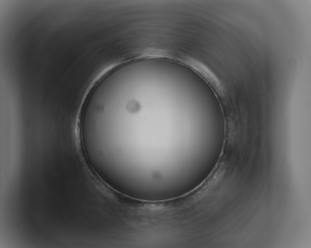 X0000102301190200808011356