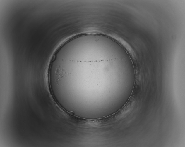 X0000102301191200808011356