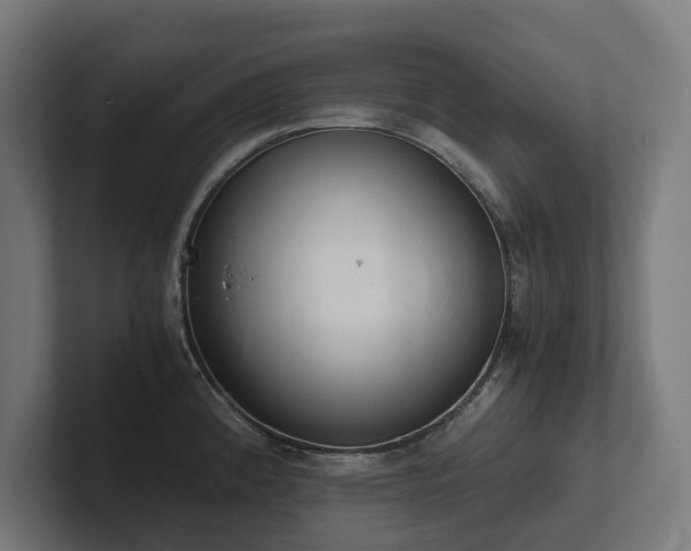 X0000102301192200808011356