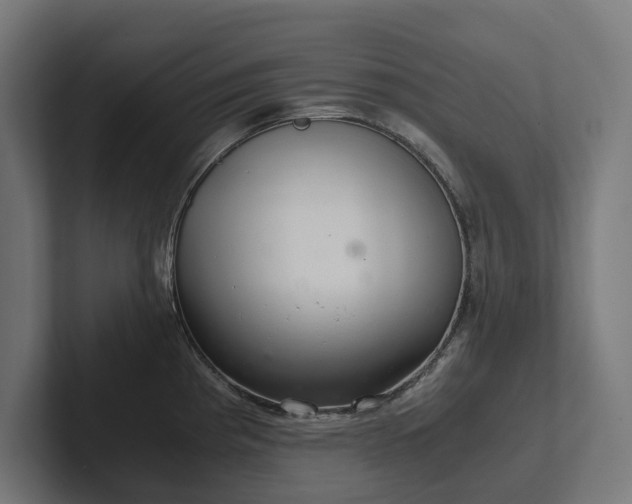 X0000102301193200808011356