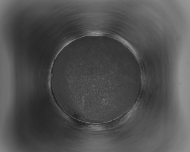 X0000102301194200808011356