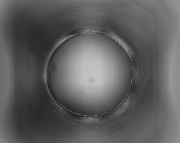 X0000102301195200808011356