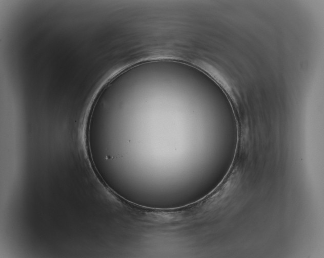 X0000102301197200808011356