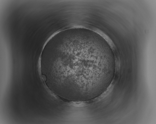 X0000102301198200808011356