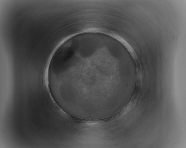 X0000102301199200808011356