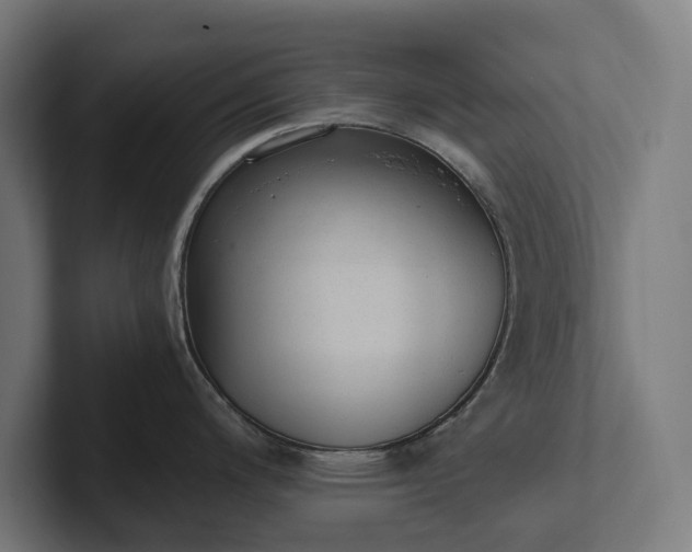 X0000102301200200808011356