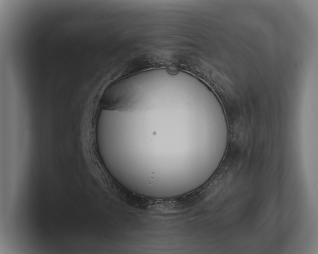 X0000102301201200808011355