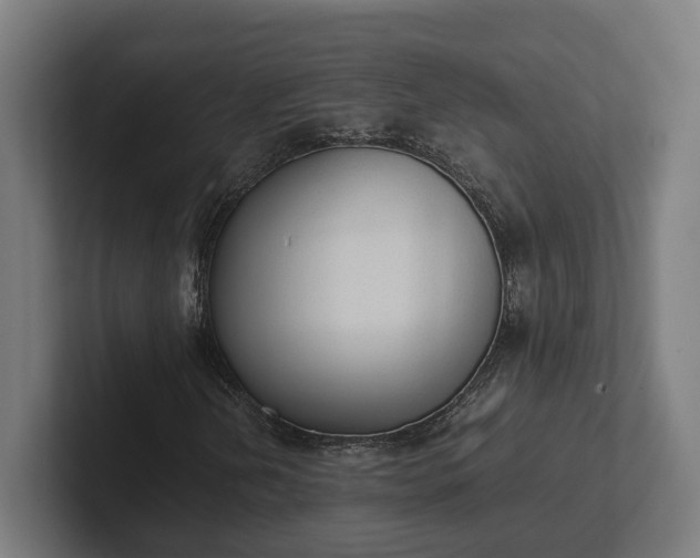 X0000102301202200808011355