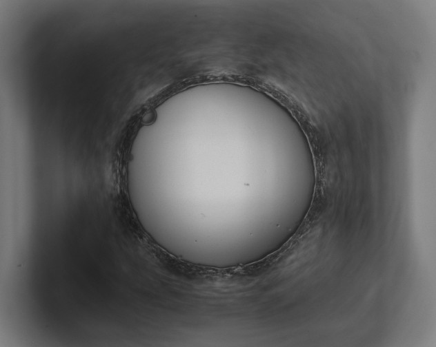 X0000102301207200808011355