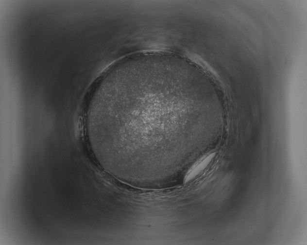 X0000102301208200808011355