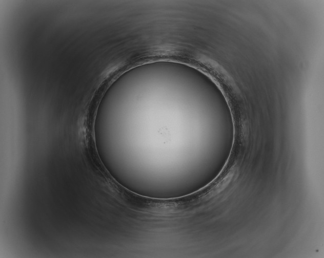 X0000102301210200808011355