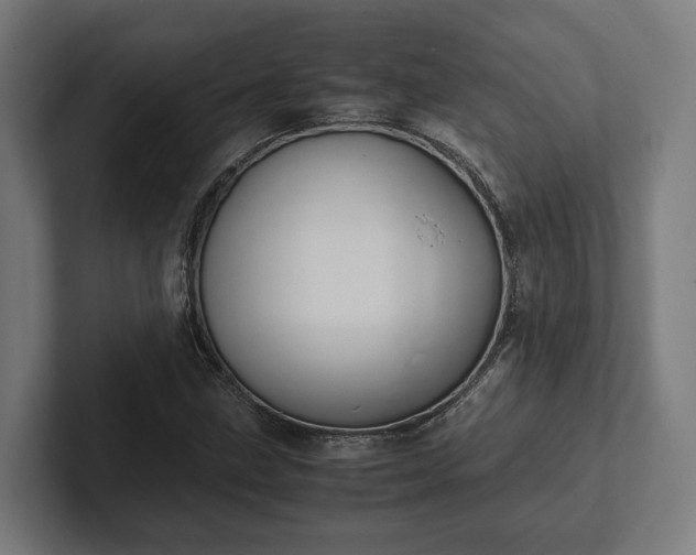 X0000102301211200808011355