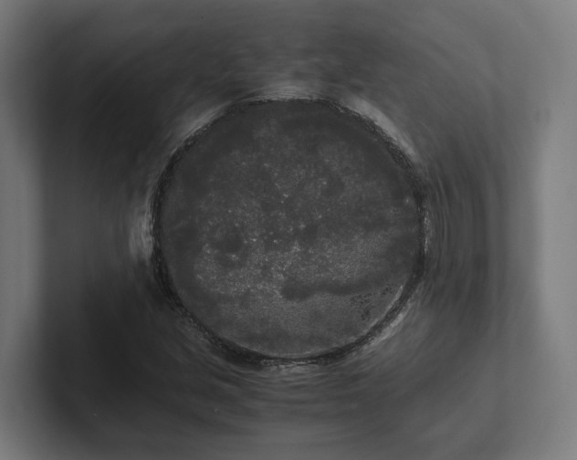 X0000102301213200808011355