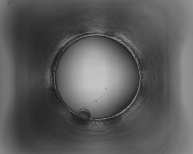 X0000102301215200808011355