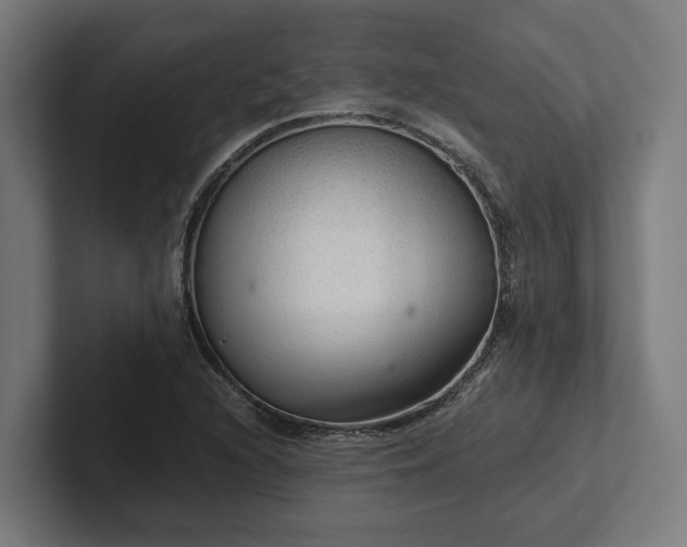 X0000102301216200808011355