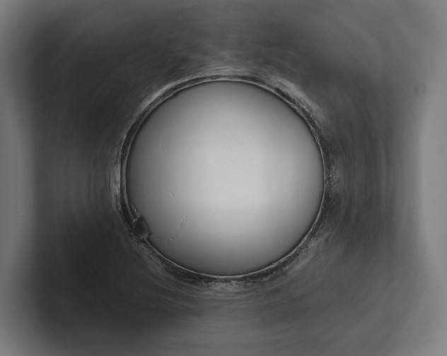 X0000102301220200808011355