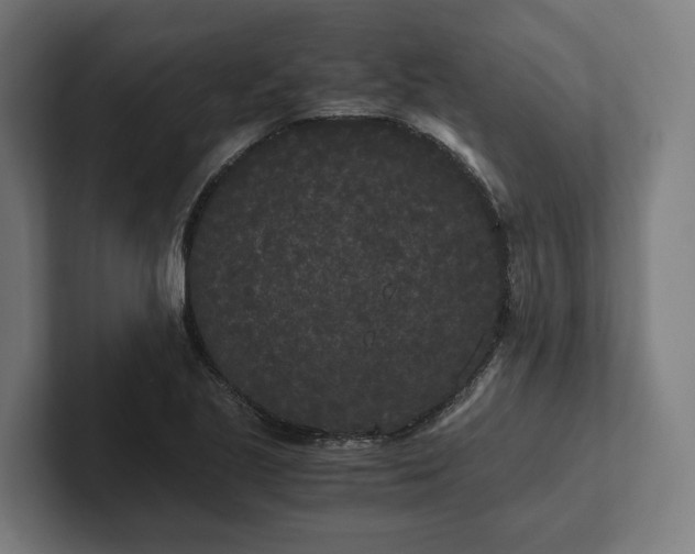 X0000102301221200808011355