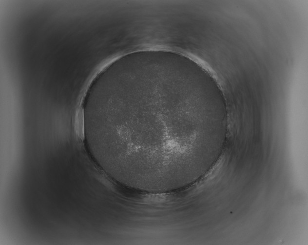 X0000102301223200808011355