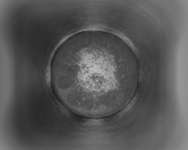 X0000102301224200808011355