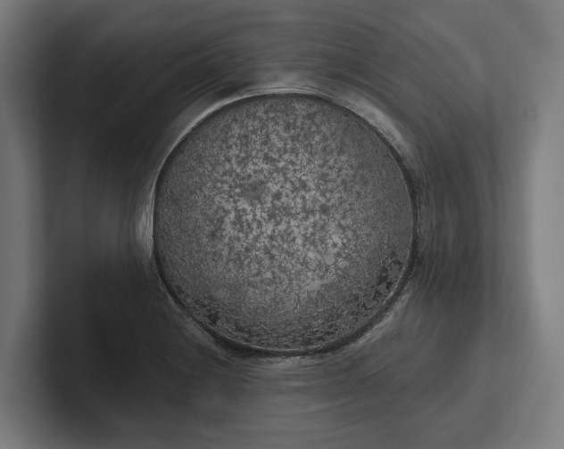 X0000102301228200808011355