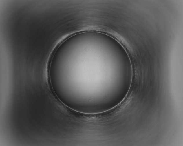 X0000102301230200808011356