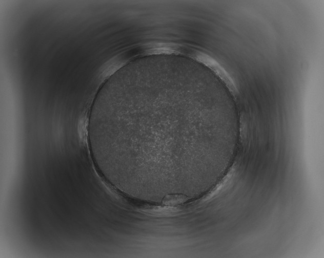 X0000102301233200808011356