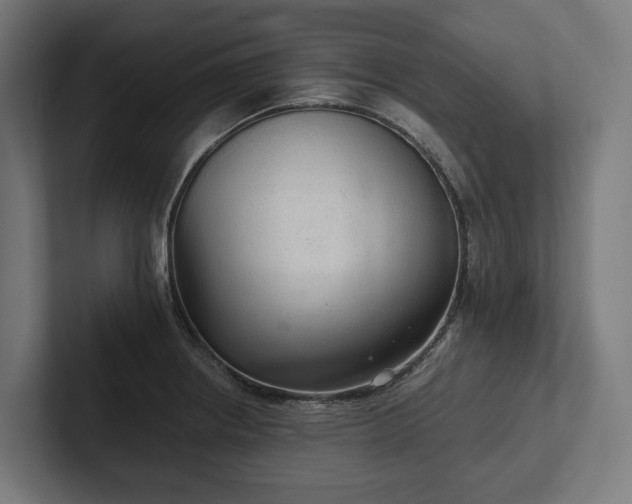 X0000102301234200808011356