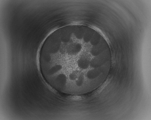 X0000102301235200808011356