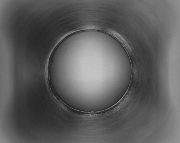 X0000102301236200808011356