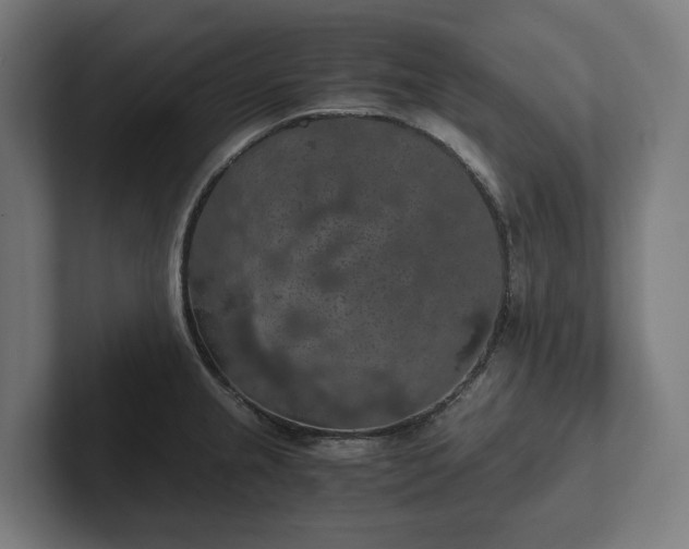 X0000102301237200808011356