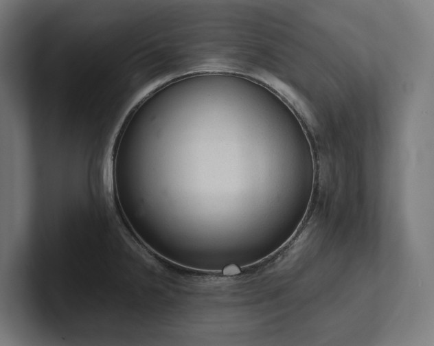 X0000102301238200808011356