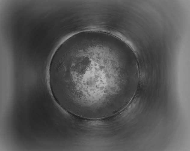 X0000102301239200808011356