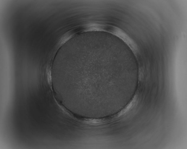 X0000102301241200808011356