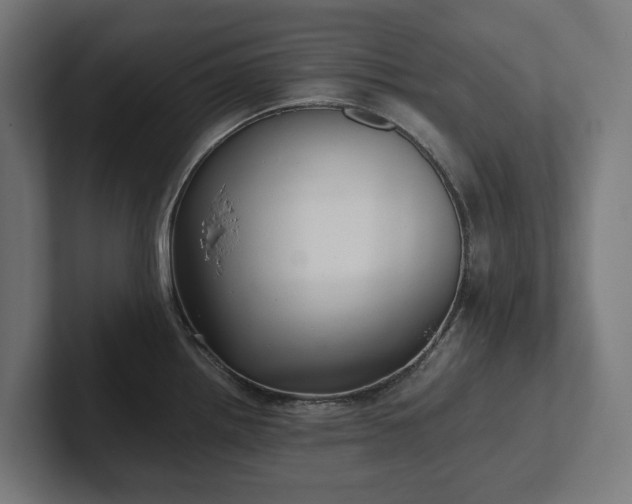 X0000102301242200808011356