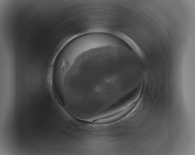 X0000102301244200808011356