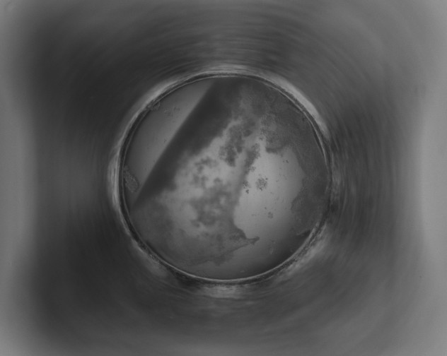 X0000102301245200808011356