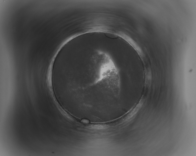 X0000102301246200808011356