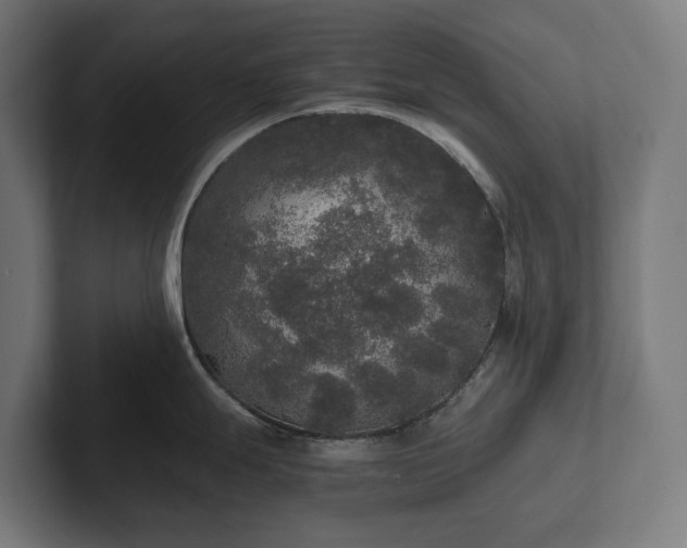 X0000102301247200808011356