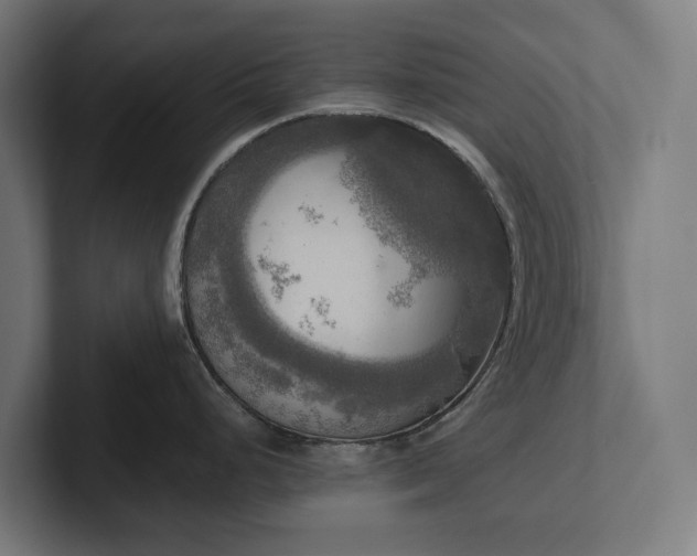 X0000102301248200808011356