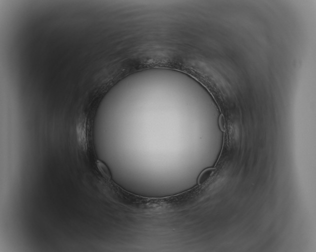 X0000102301250200808011355