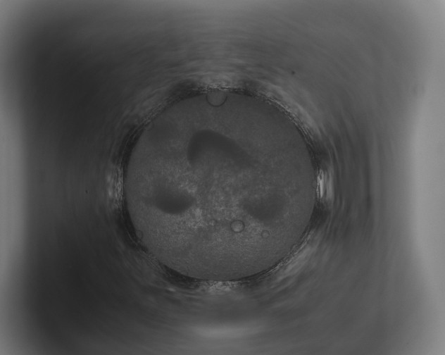 X0000102301251200808011355