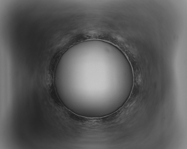 X0000102301253200808011355