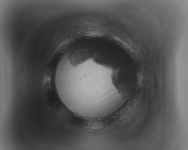 X0000102301254200808011355