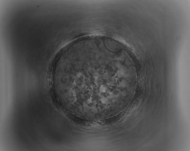 X0000102301255200808011355