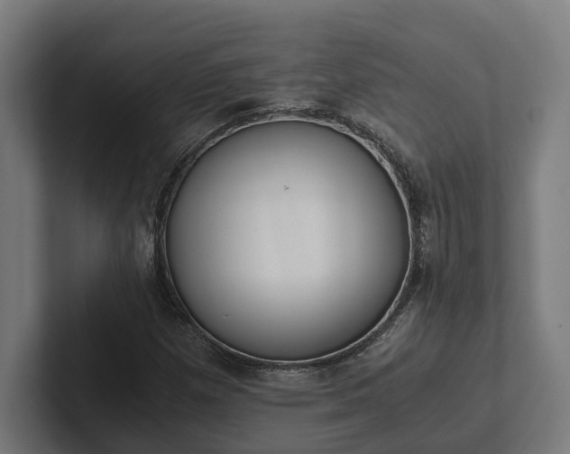 X0000102301257200808011355