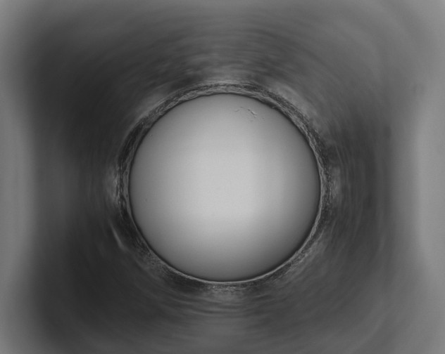 X0000102301258200808011355