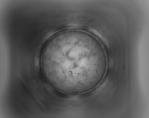 X0000102301259200808011355