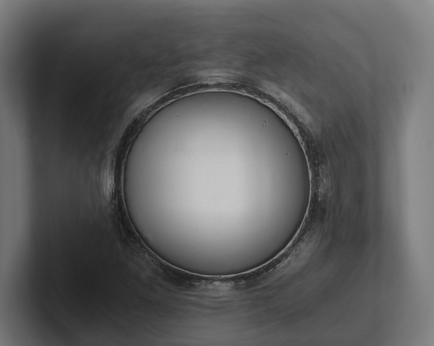 X0000102301261200808011355